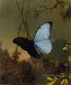 Mariposa Morpho Azul ATC Romántico Martin Johnson Heade animal